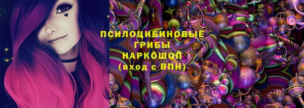 СК Аркадак