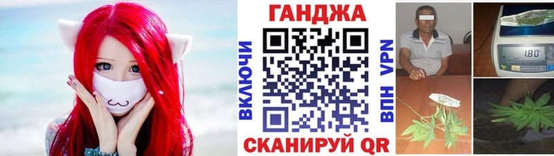 Конопля сатива  Чайковский 